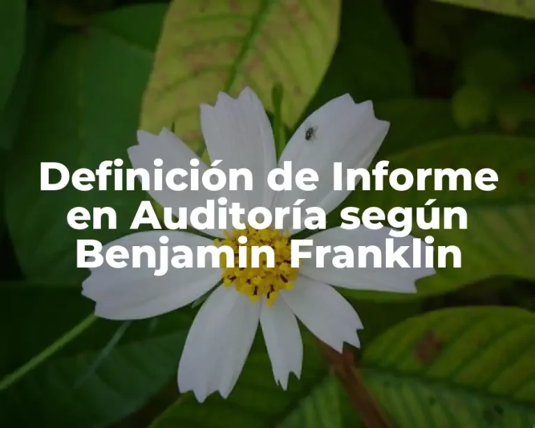 Definición de Informe en Auditoría según Benjamin Franklin