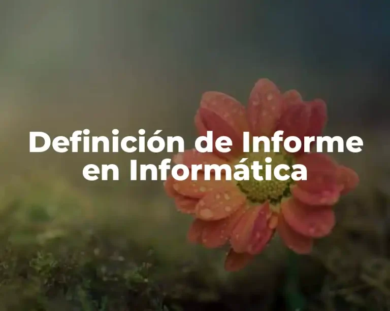 Definición de Informe en Informática
