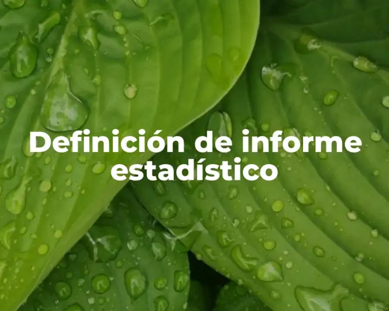 Definición de informe estadístico