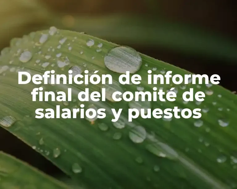 Definición de informe final del comité de salarios y puestos