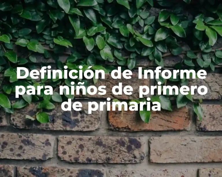 Definición de Informe para niños de primero de primaria