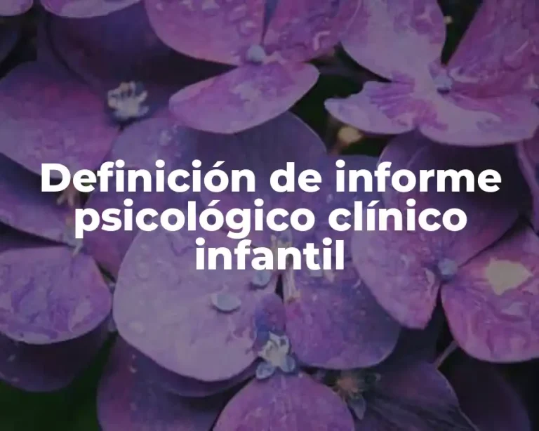 Definición de informe psicológico clínico infantil