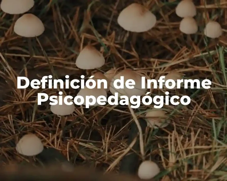 Definición de Informe Psicopedagógico