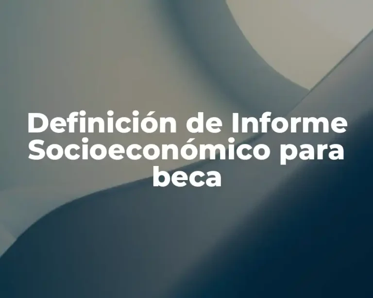 Definición de Informe Socioeconómico para beca