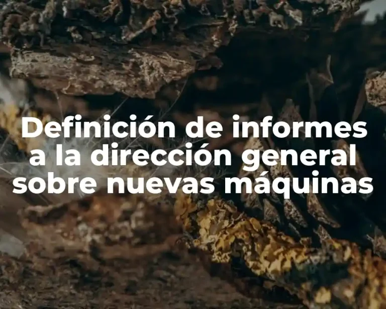 Definición de informes a la dirección general sobre nuevas máquinas