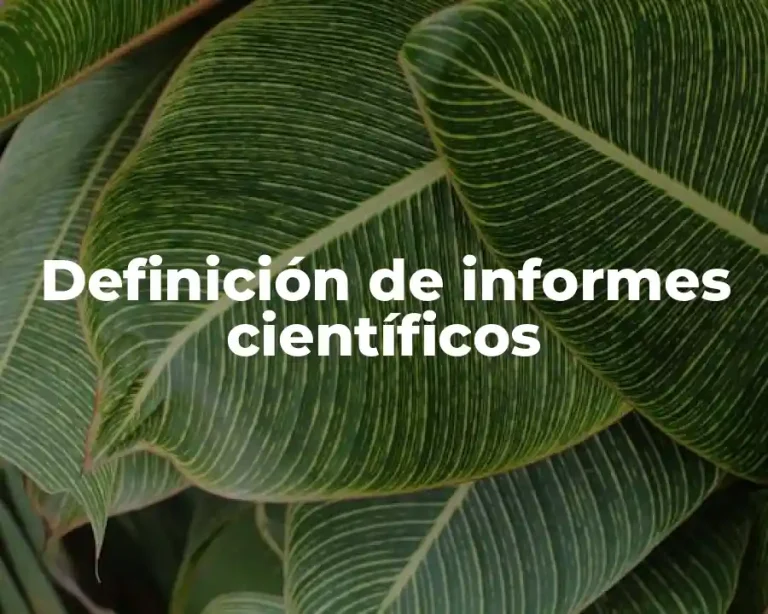 Definición de informes científicos