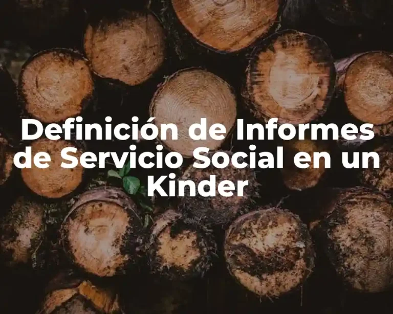 Definición de Informes de Servicio Social en un Kinder