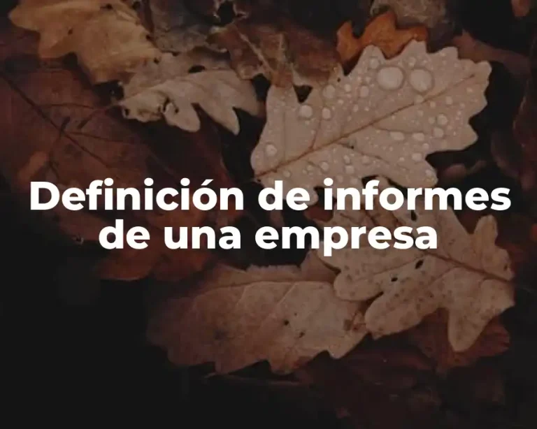 Definición de informes de una empresa