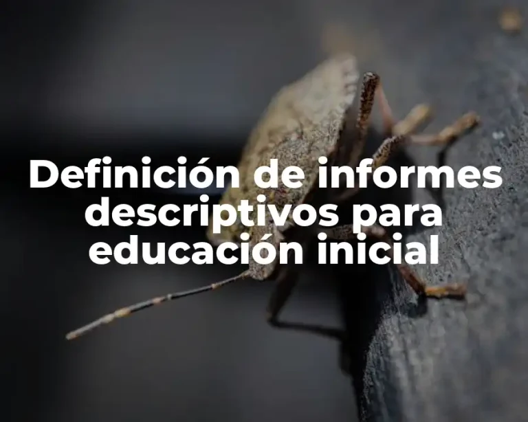 Definición de informes descriptivos para educación inicial