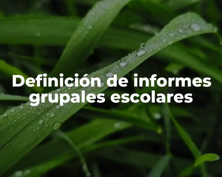 Definición de informes grupales escolares