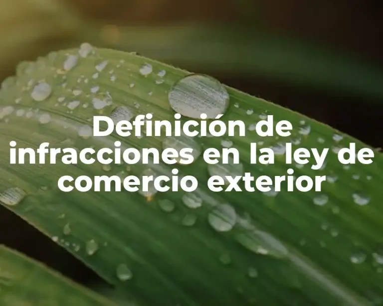 Definición de infracciones en la ley de comercio exterior