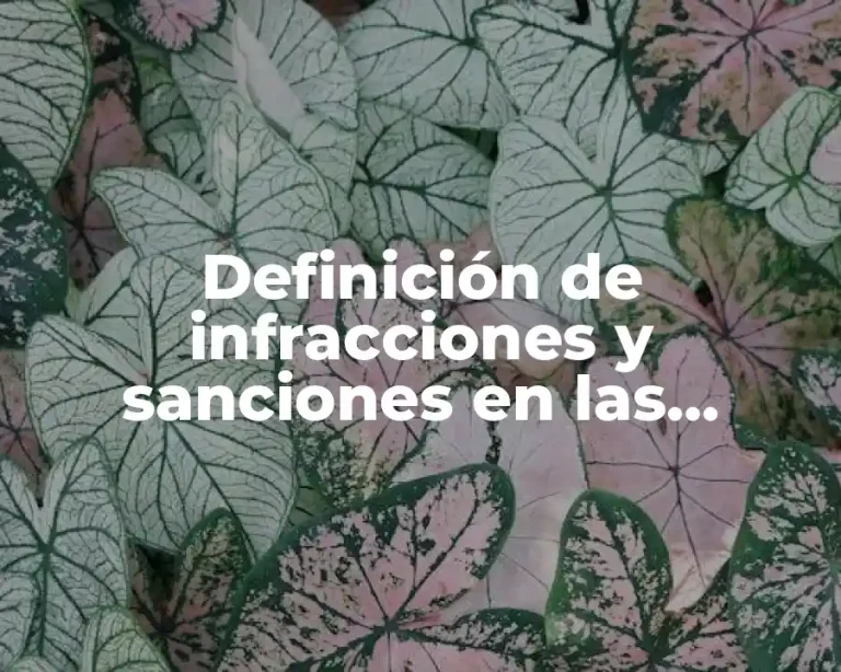 Definición de infracciones y sanciones en las aduanas