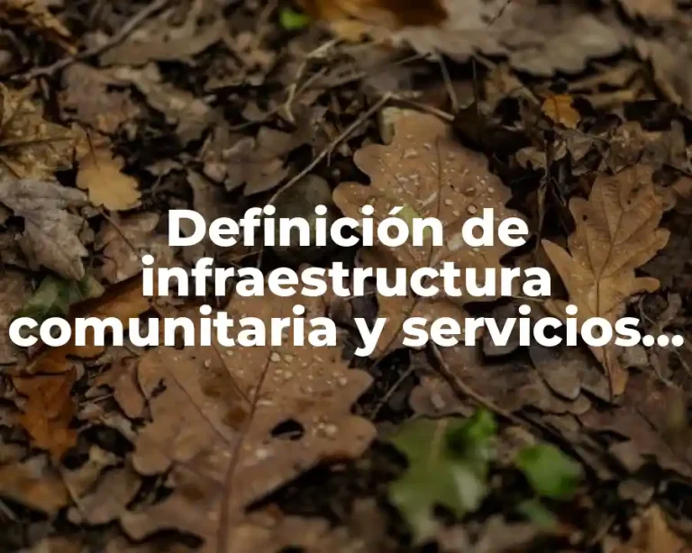 Definición de infraestructura comunitaria y servicios ejemplo