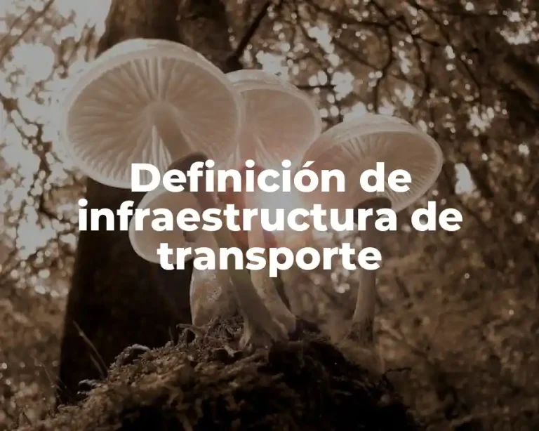 Definición de infraestructura de transporte