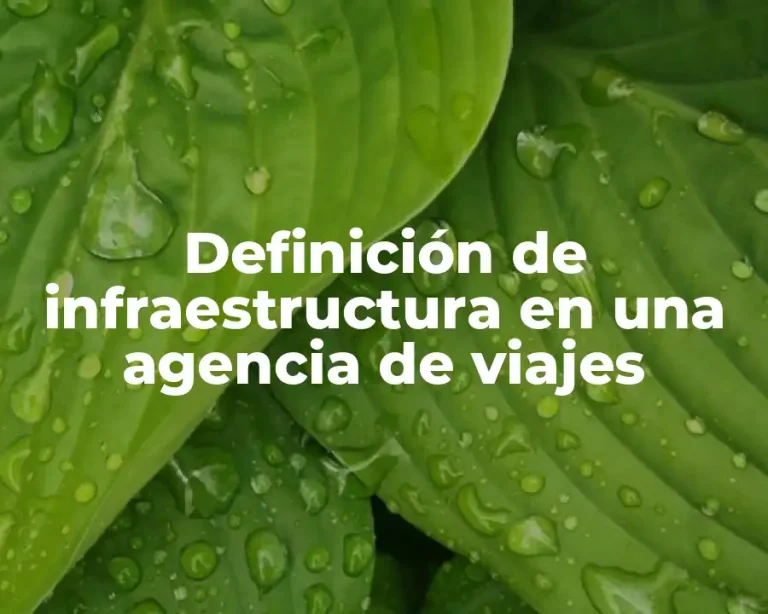 Definición de infraestructura en una agencia de viajes