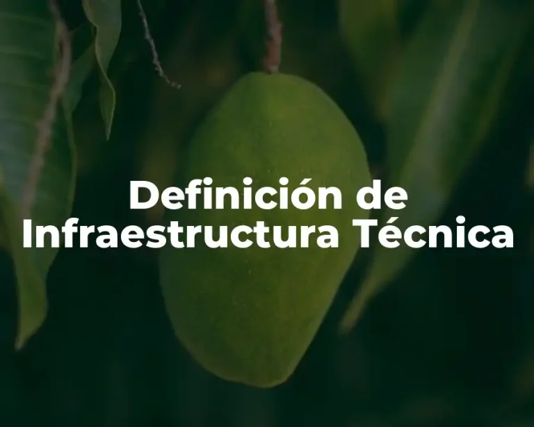 Definición de Infraestructura Técnica