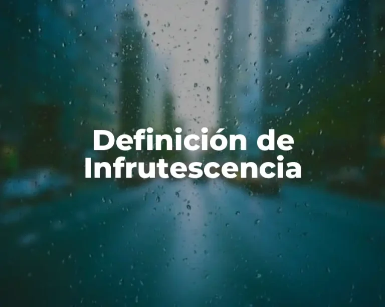 Definición de Infrutescencia