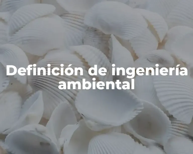 Definición de ingeniería ambiental