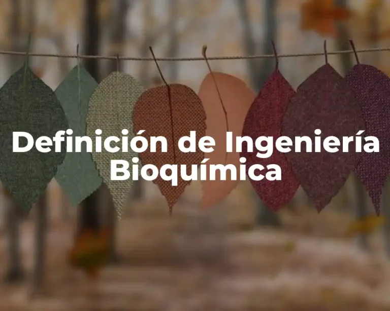 Definición de Ingeniería Bioquímica