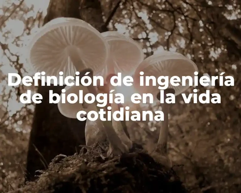 Definición de ingeniería de biología en la vida cotidiana