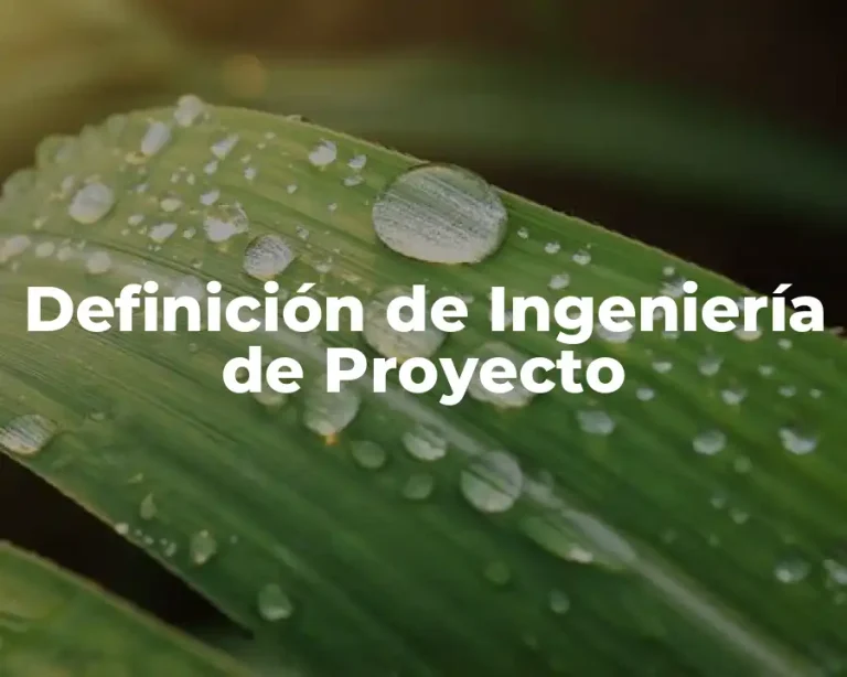 Definición de Ingeniería de Proyecto