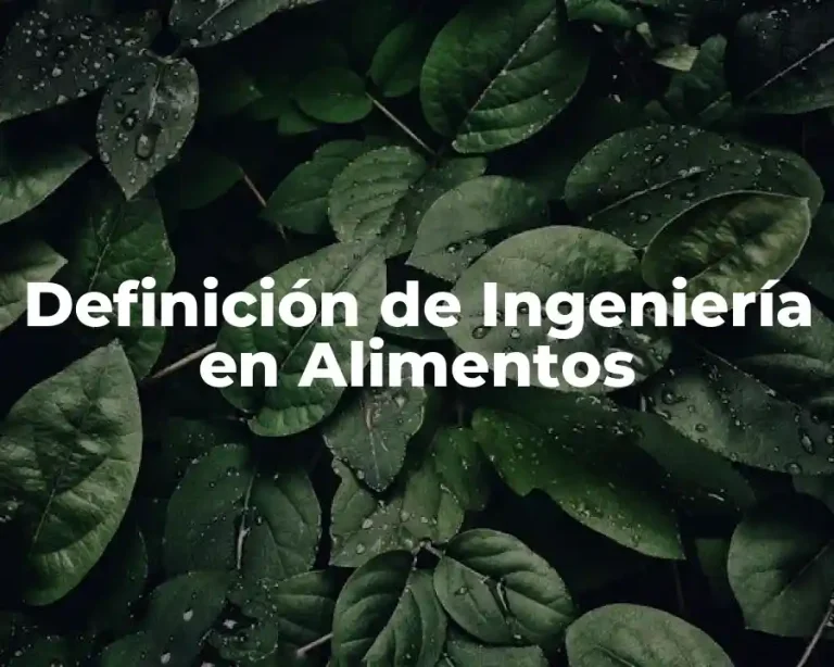 Definición de Ingeniería en Alimentos