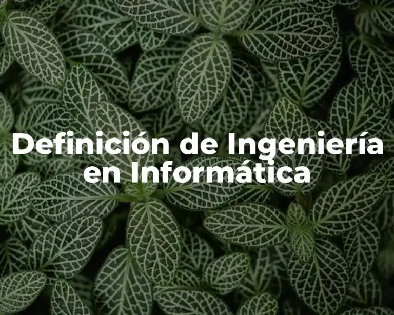 Definición de Ingeniería en Informática