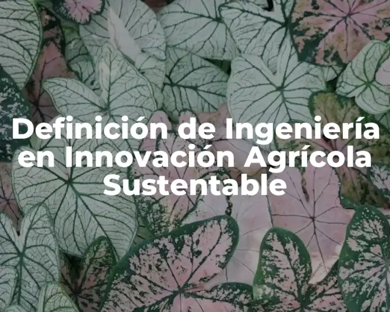 Definición de Ingeniería en Innovación Agrícola Sustentable