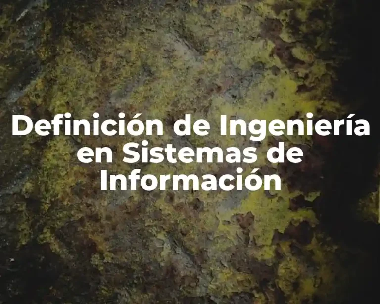 Definición de Ingeniería en Sistemas de Información