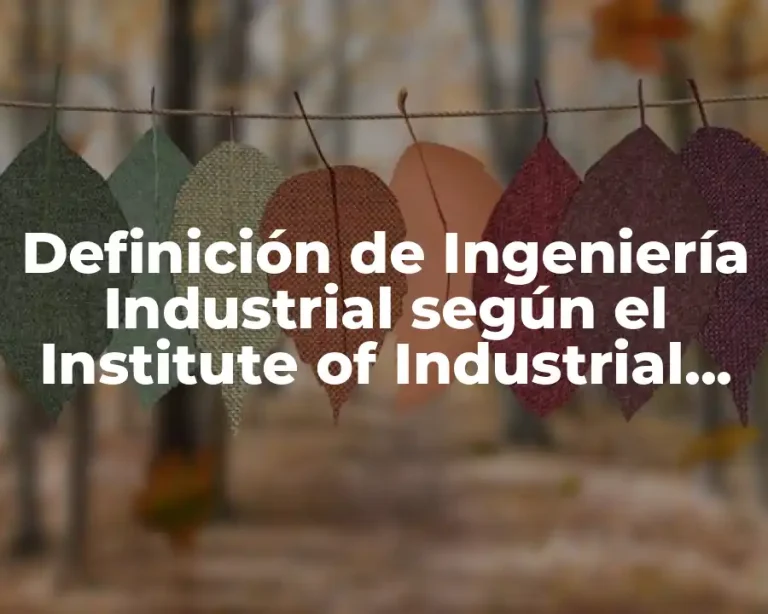 Definición de Ingeniería Industrial según el Institute of Industrial Engineers