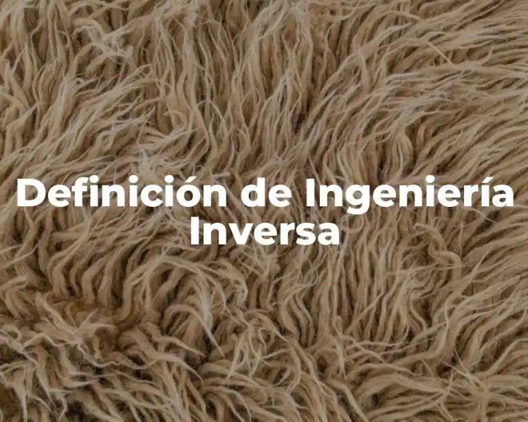 Definición de Ingeniería Inversa