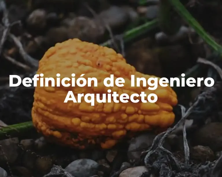 Definición de Ingeniero Arquitecto