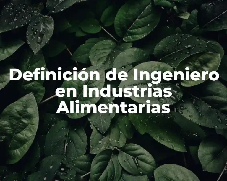 Definición de Ingeniero en Industrias Alimentarias