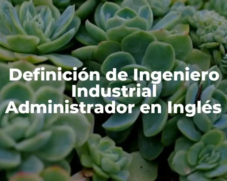 Definición de Ingeniero Industrial Administrador en Inglés