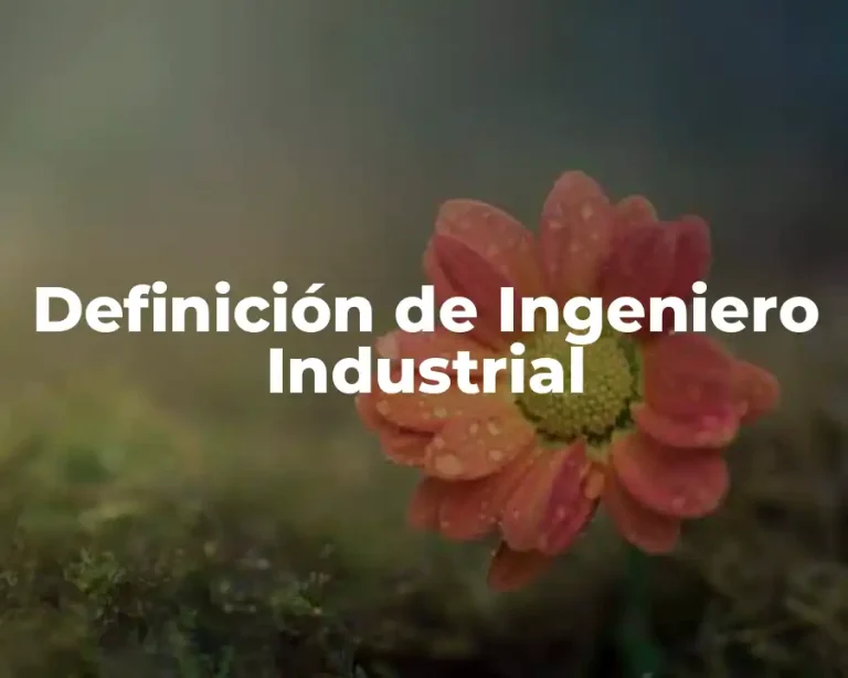 Definición de Ingeniero Industrial
