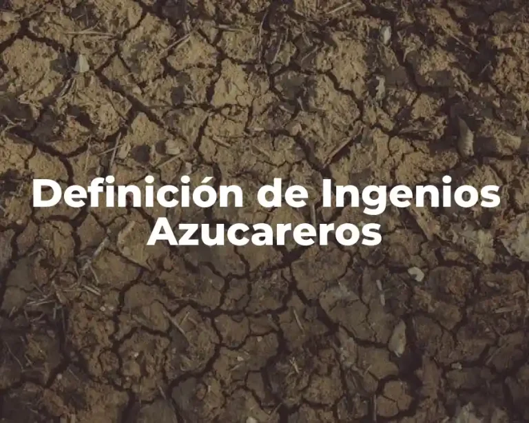 Definición de Ingenios Azucareros