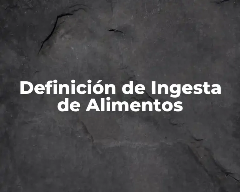 Definición de Ingesta de Alimentos