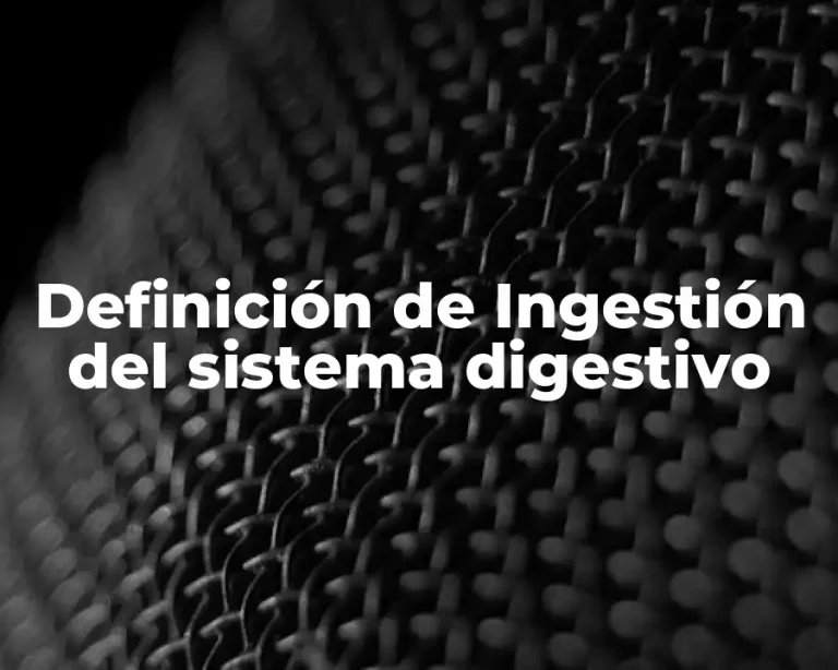 Definición de Ingestión del sistema digestivo