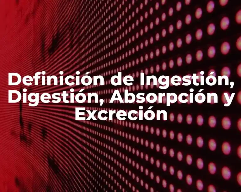 Definición de Ingestión, Digestión, Absorpción y Excreción