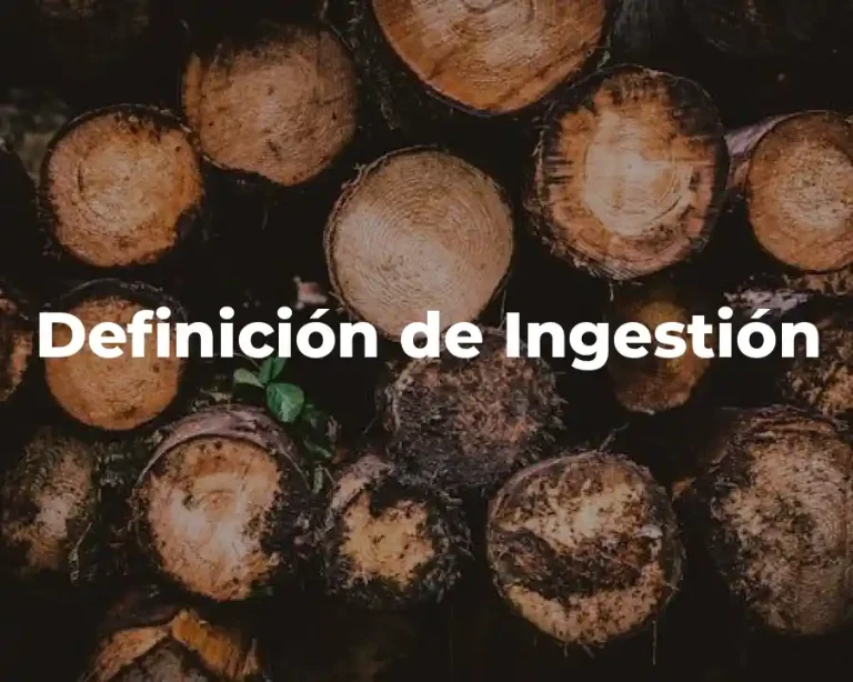 Definición de Ingestión