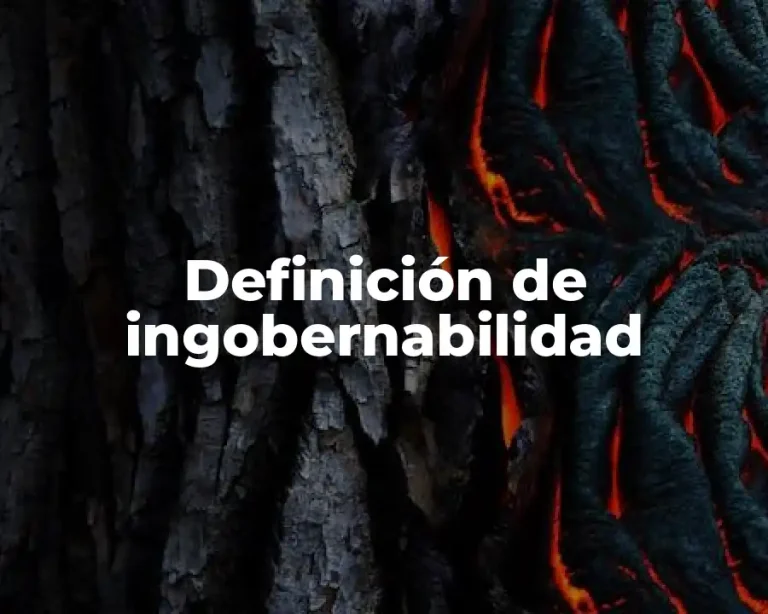 Definición de ingobernabilidad