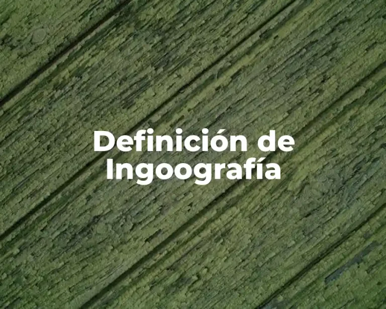 Definición de Ingoografía