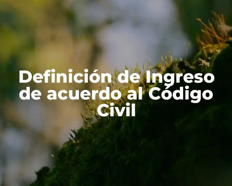 Definición de Ingreso de acuerdo al Código Civil