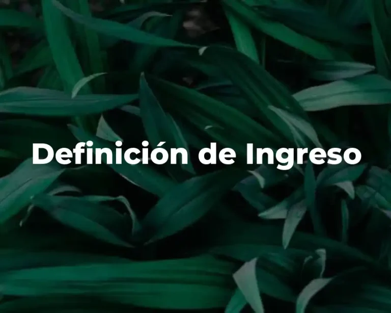 Definición de Ingreso