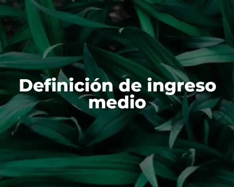 Definición de ingreso medio