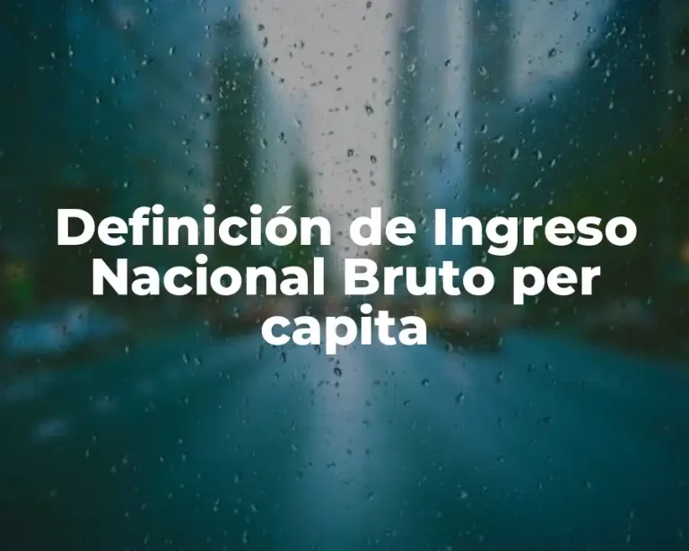 Definición de Ingreso Nacional Bruto per capita