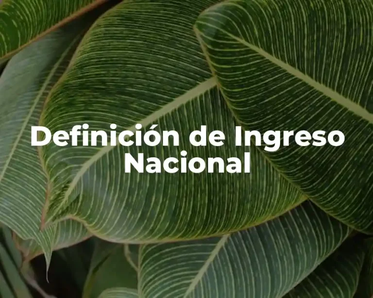 Definición de Ingreso Nacional