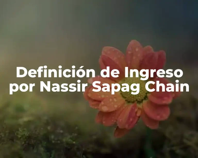 Definición de Ingreso por Nassir Sapag Chain