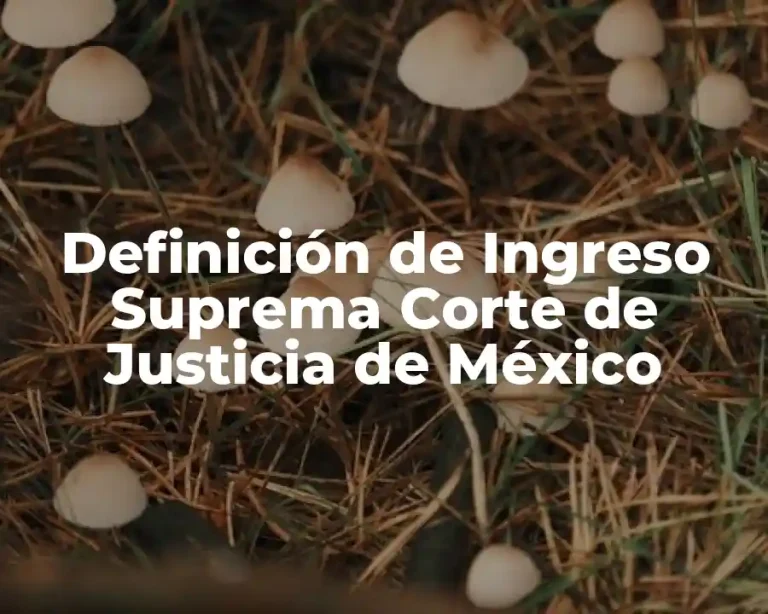 Definición de Ingreso Suprema Corte de Justicia de México