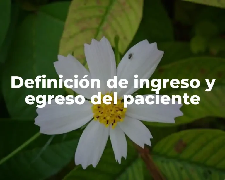 Definición de ingreso y egreso del paciente